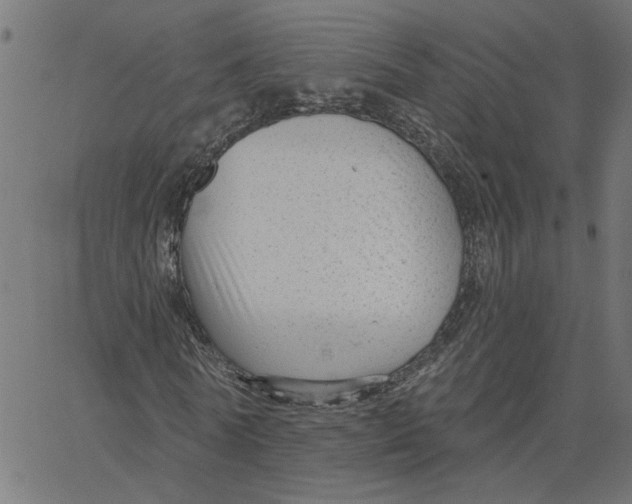 X0000067530770200604281659