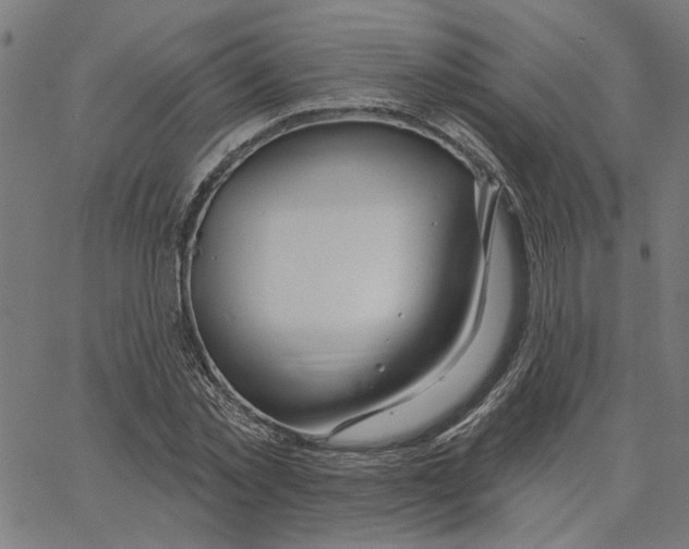X0000067530781200604281658