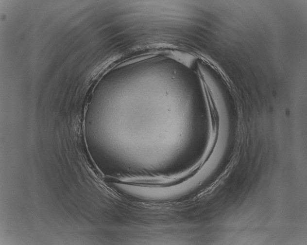 X0000067530785200604281658