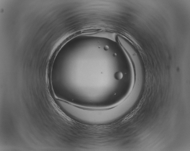 X0000067530788200604281658