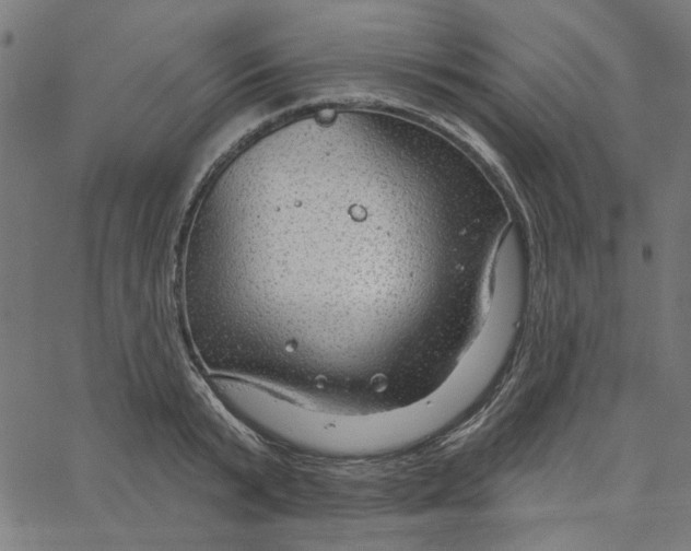 X0000067530799200604281658
