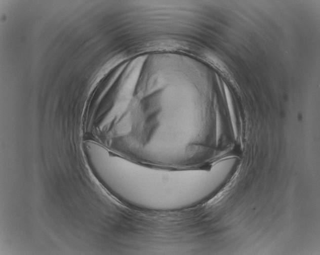 X0000067530802200604281658