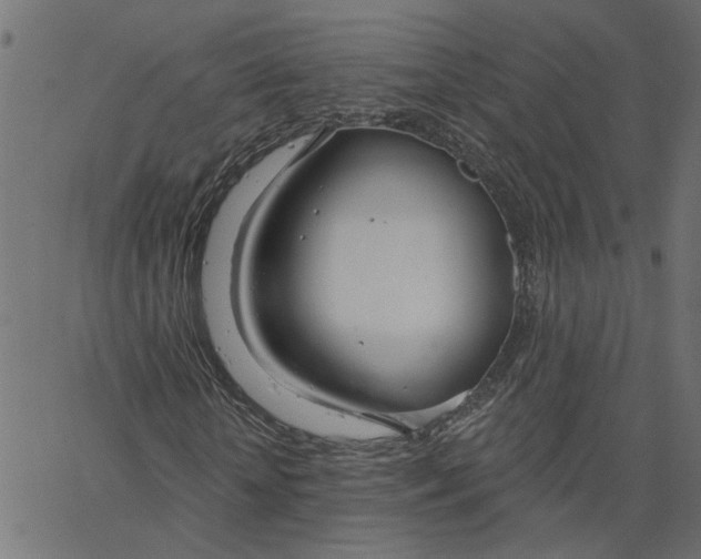 X0000067530818200604281657