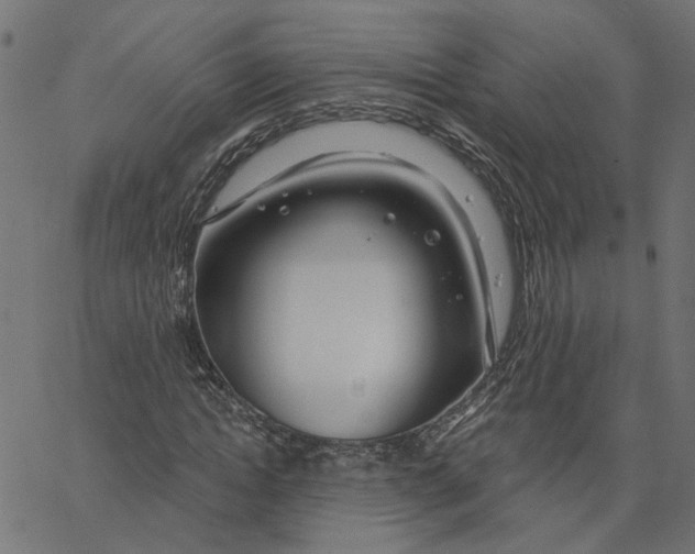 X0000067530822200604281657