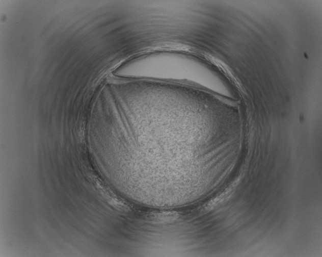 X0000067530833200604281657