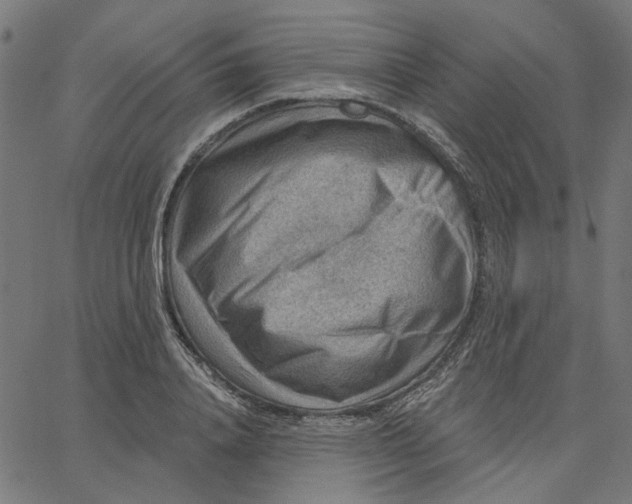 X0000067530840200604281657
