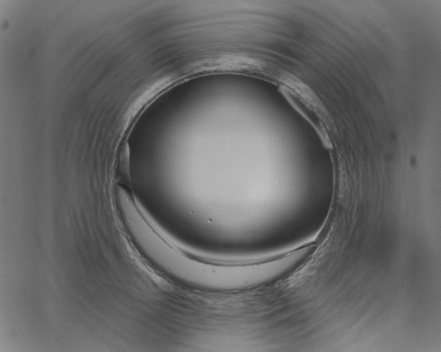 X0000067530850200604281658