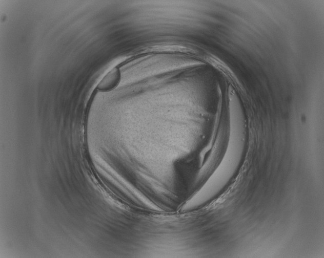 X0000067530852200604281658
