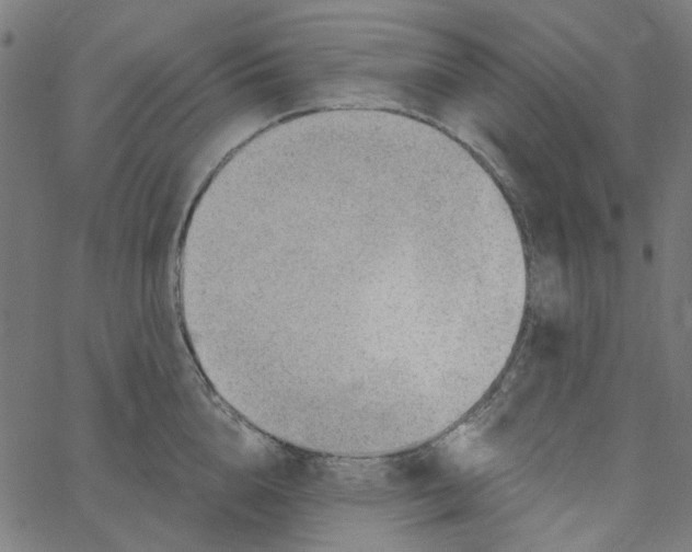 X0000067530856200604281658