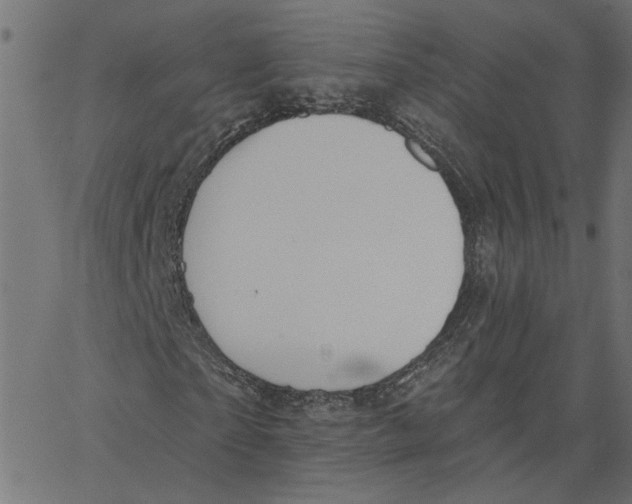 X0000067530865200604281657