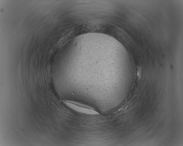 X0000067530867200604281657