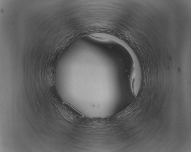 X0000067530868200604281657