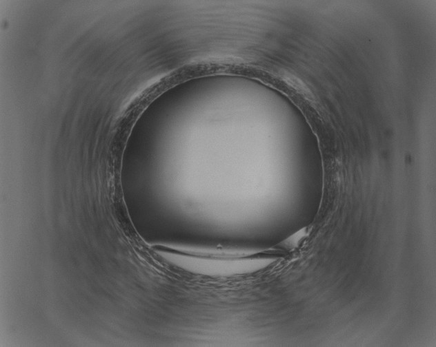 X0000067530872200604281657