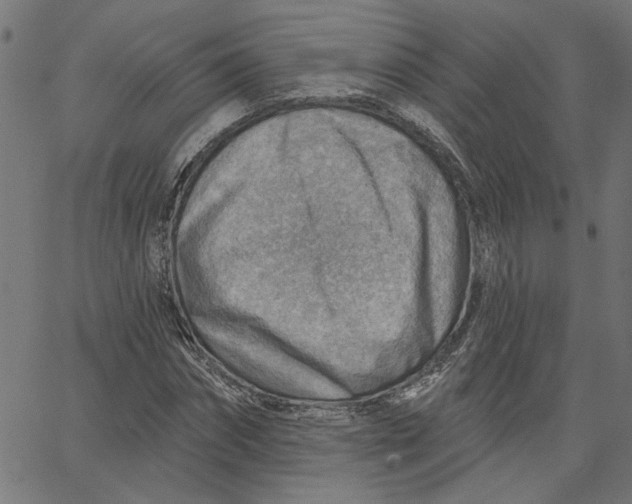 X0000067530874200604281657