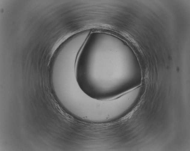 X0000067530877200604281657