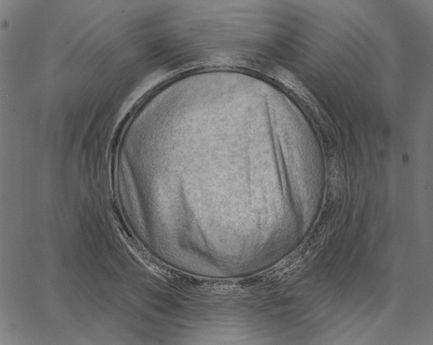 X0000067530886200604281657