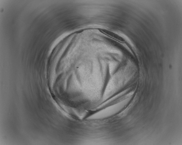 X0000067530910200604281656