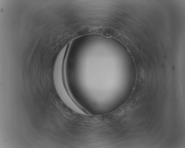 X0000067530914200604281655