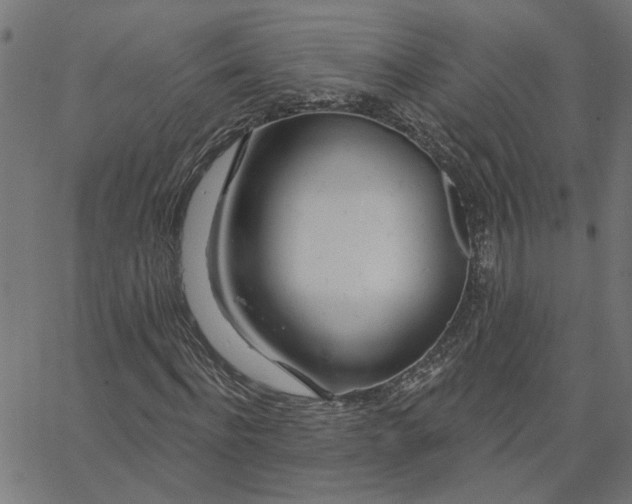 X0000067530916200604281655