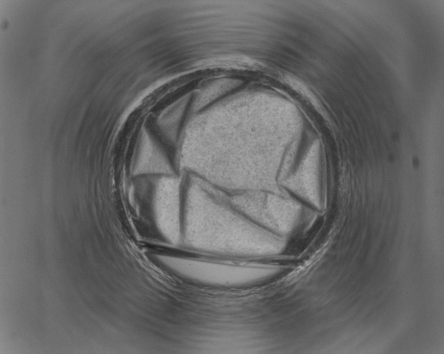 X0000067530923200604281655