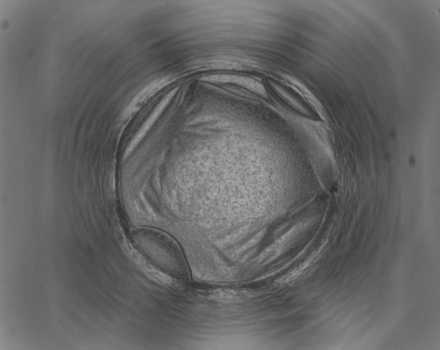 X0000067530938200604281656
