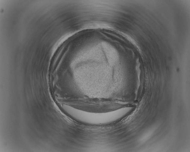 X0000067530943200604281656