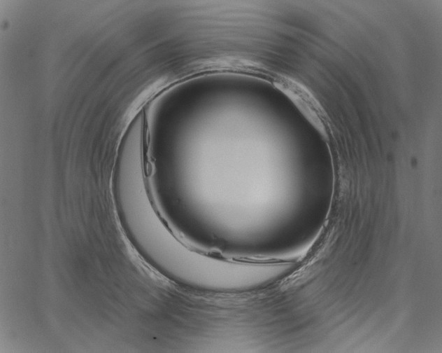 X0000067530946200604281656