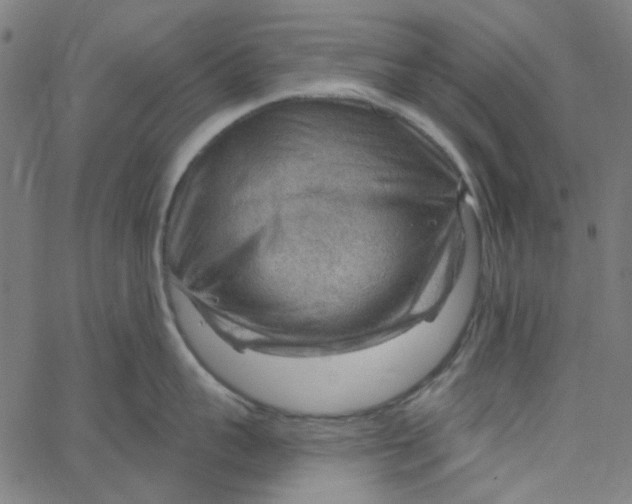 X0000067530959200604281656