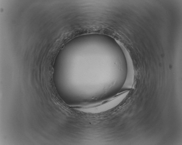 X0000067530961200604281655