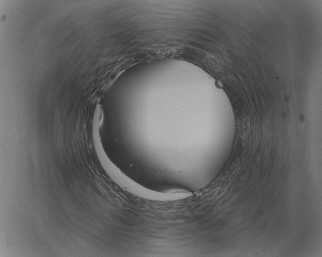 X0000067530962200604281655