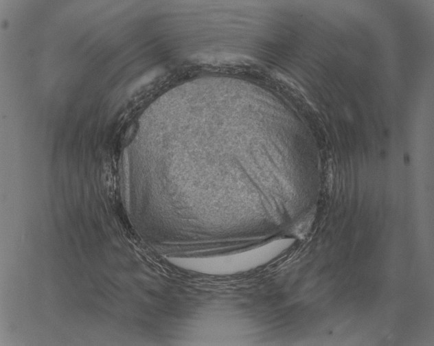 X0000067530966200604281655