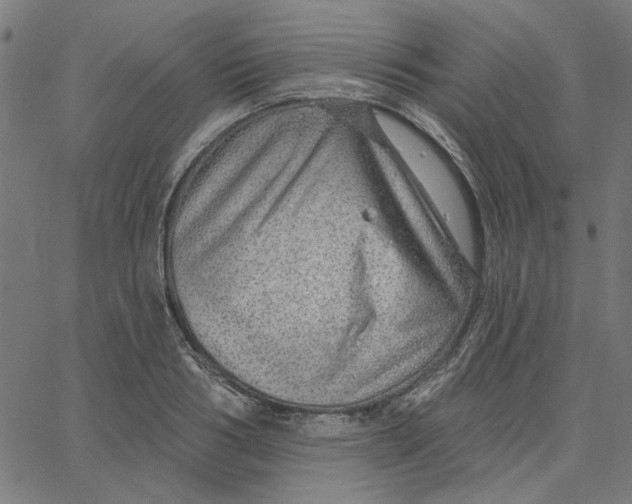 X0000067530986200604281655