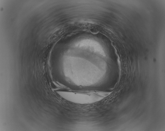 X0000067531013200604281654