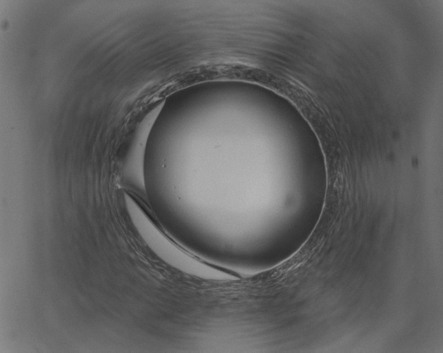 X0000067531014200604281654