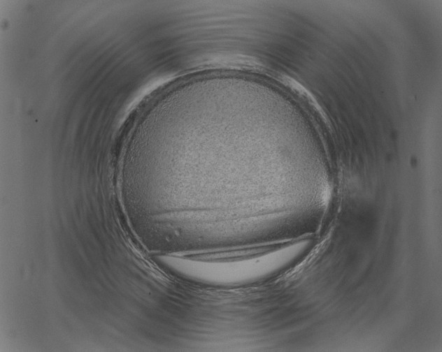 X0000067531019200604281654