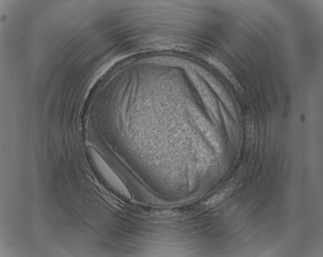 X0000067531023200604281654