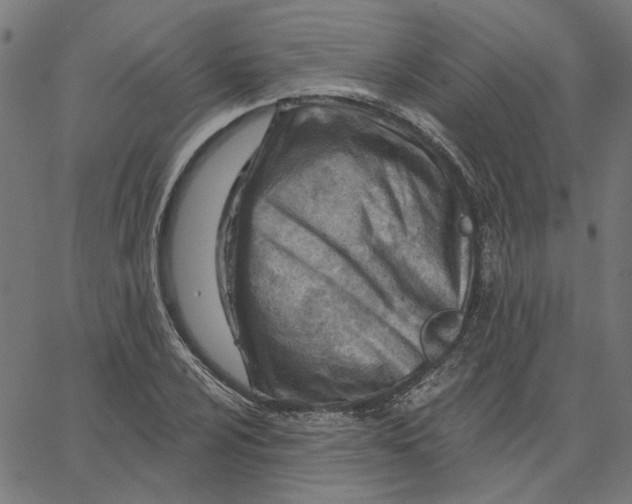 X0000067531024200604281654