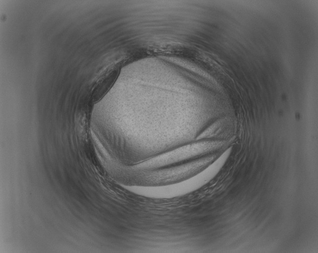 X0000067531060200604281654
