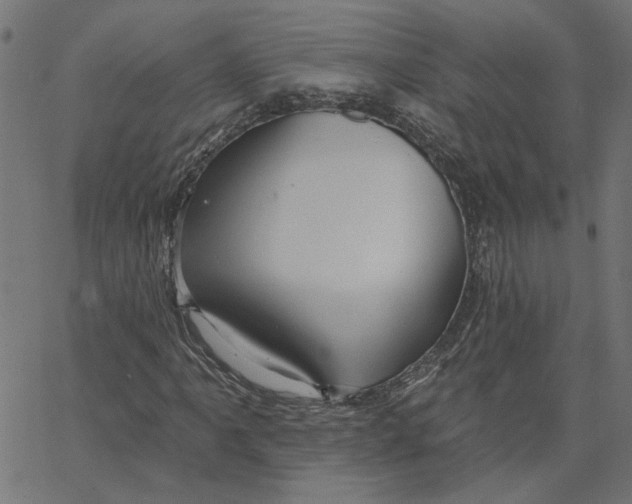 X0000067531061200604281654