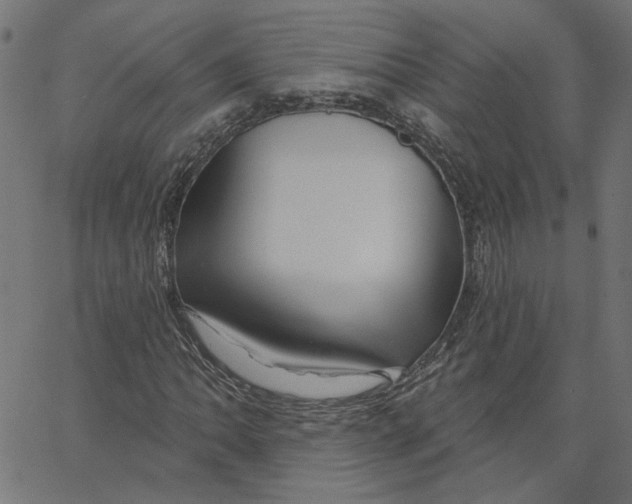 X0000067531062200604281654