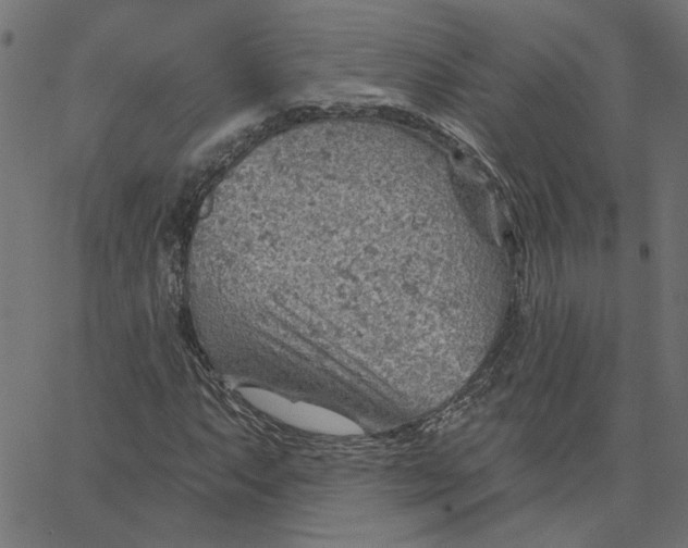 X0000067531063200604281654