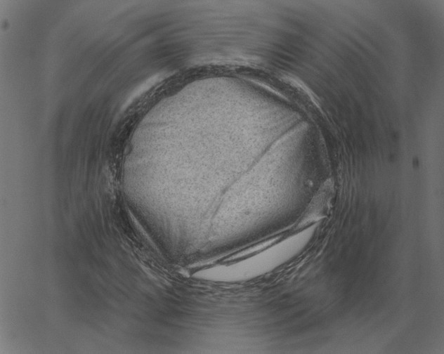 X0000067531064200604281654