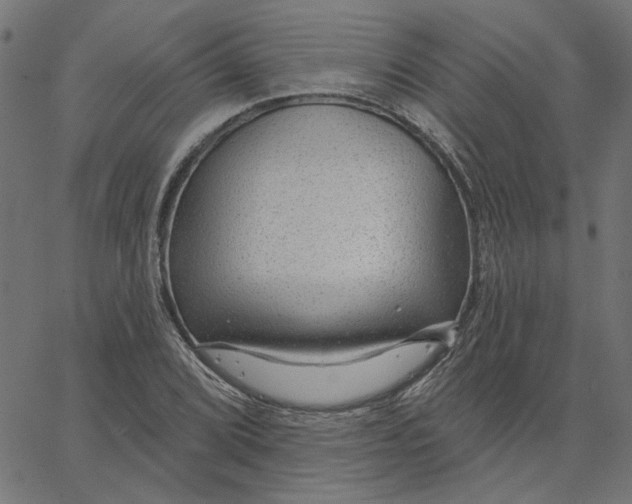 X0000067531072200604281653