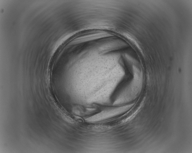 X0000067531077200604281653