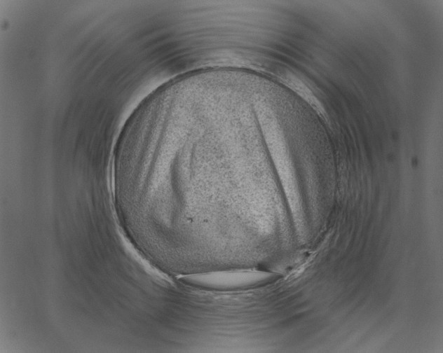 X0000067531084200604281653