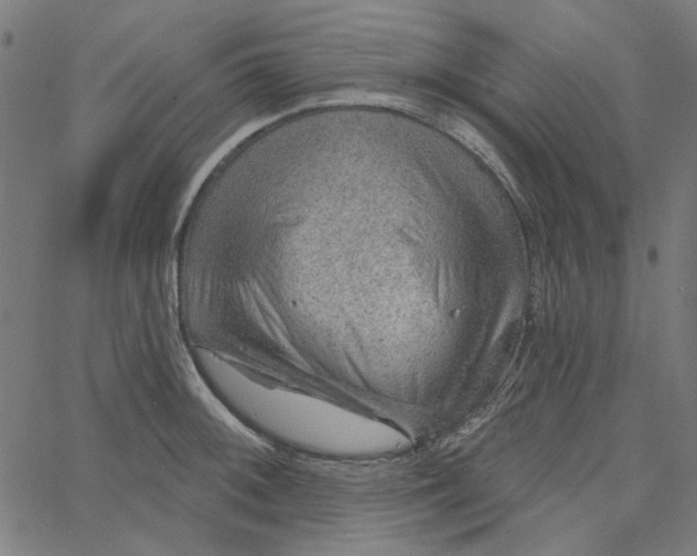 X0000067531092200604281653