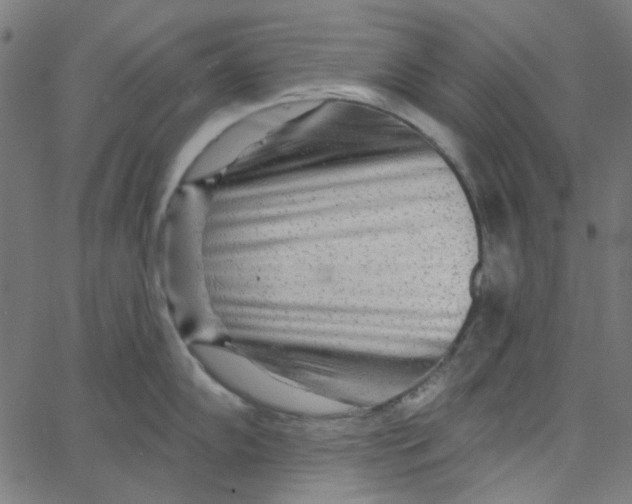 X0000067531102200604281653