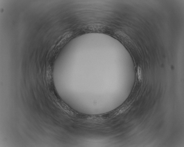 X0000067531107200604281652