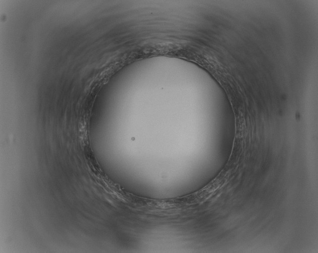 X0000067531109200604281652