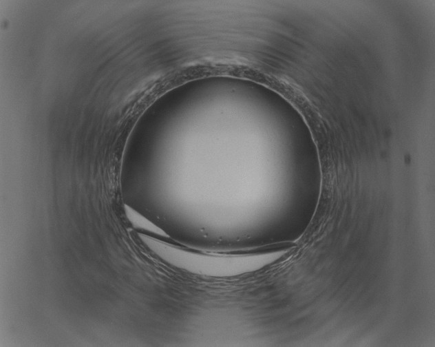 X0000067531110200604281652